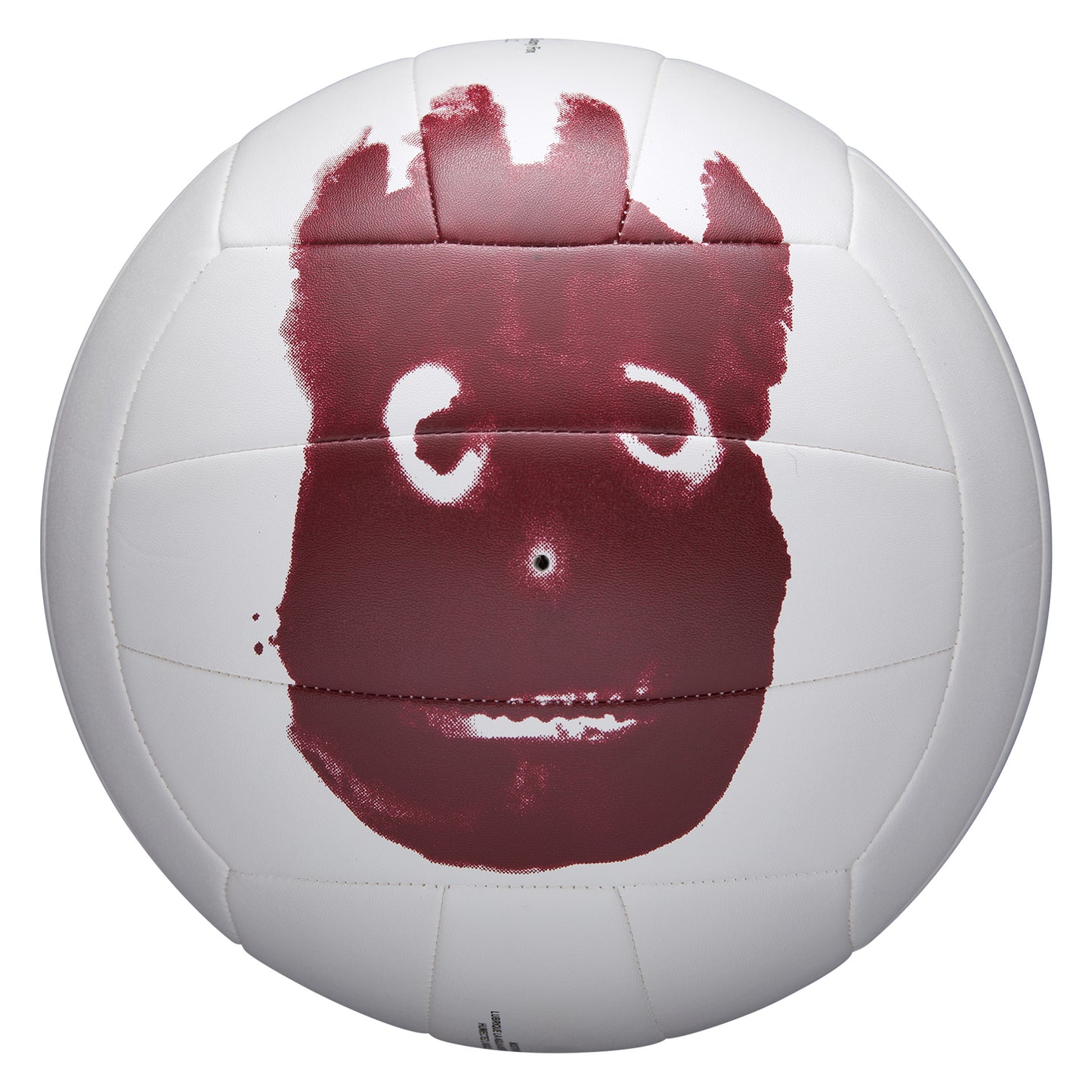 Balón Voleibol Wilson Castaway